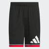 Black / Red