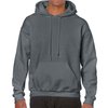 Gris Anthracite