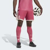Wild Pink