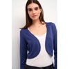 Bleu Blue Indigo