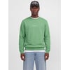 Verte - Shale Green 1