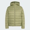 Tent Green
