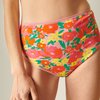 Rose Motifs Fleurs