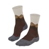 Chestnut (5534)