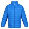 Bleu Foncé