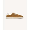 Beige Clair