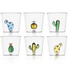 Verre Cactus Ichendorf