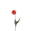 Rouge Et Vert