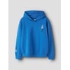 Bleu - Victoria Blue1