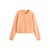 Bouton De Marguerite Orange