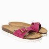 Fuschia