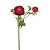 Rouge Foncé