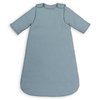 Bleu Gris