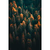 Tableau Alu Dibond