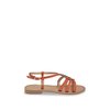Corail