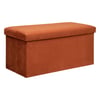 Ambre