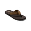 Marron Brown 1