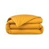 Mangue