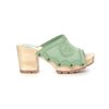 Vert Menthe