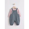 Gris Anthracite