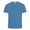 Bleu Sarcelle