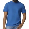 Bleu Roi