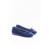 Bleu Nuit