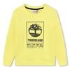 Jaune Tendre