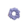 Bleuet
