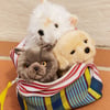 Gris