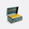Sage / mustard