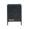 Gris Anthracite / Tcx 19-5005
