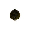 Forêts