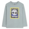 Silver Blue