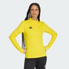 Team Yellow / Black