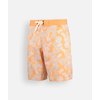 Corail