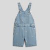 Bleach Denim