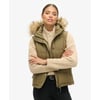 Olive Militaire