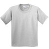 Gris Cendre