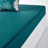 Duck Egg Blue