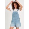 Denim Double Stone