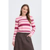 Rose Orchid Pink Stripe