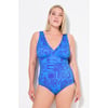 Bleu Bleuet