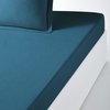 Pruisisch Blauw