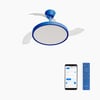 Bleu Cobalt/Transparent