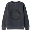 Gris Charbon