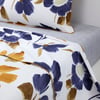 Multicolore