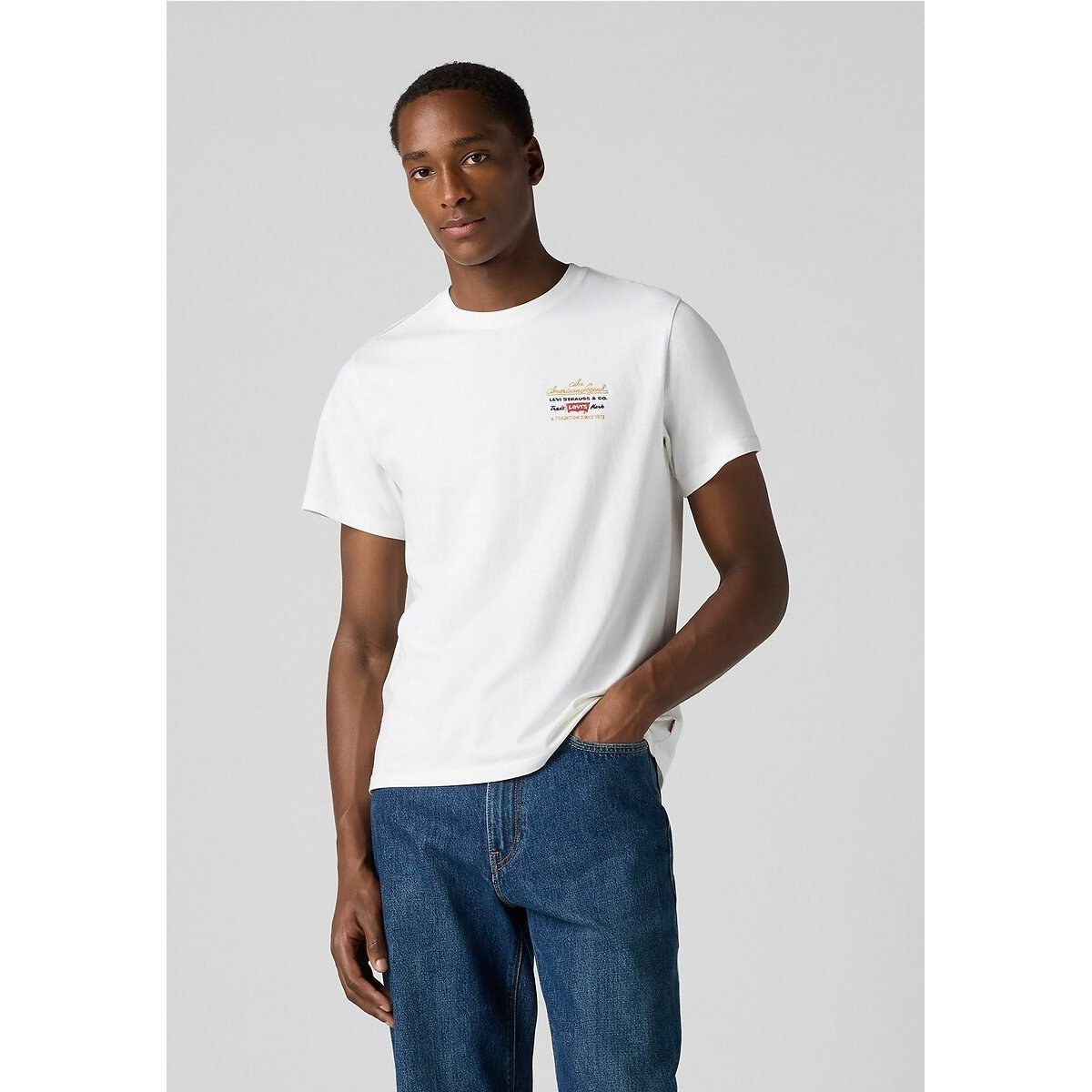 Levi's Printed Relaxed T-Shirt Men's Blanc Archive Large