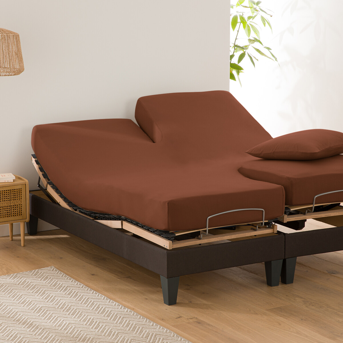 Sábana bajera lisa de algodón orgánico para cama articulada, Scenario. Talla Cama 140cm (140x190cm). Color