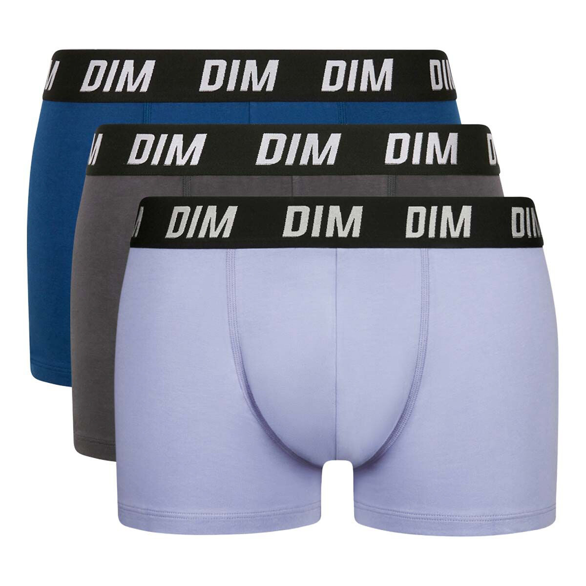 Dim Pack Of 3 Regul'activ Hipsters In Cotton Men's Mauve Blue+Blue+Purple Blue Xxl